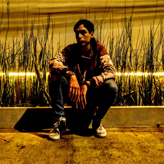 Begins cover art