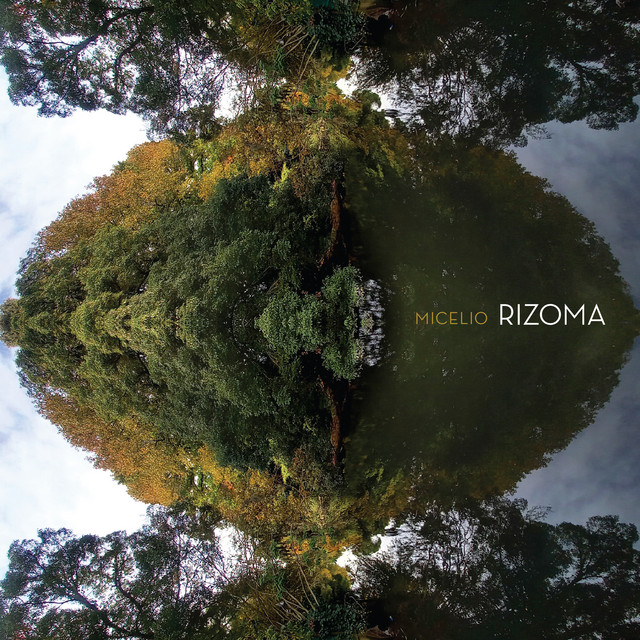 Micelio cover art
