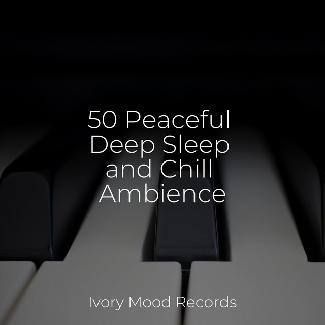 50 Peaceful Deep Sleep and Chill Ambience - Album by SD | Spotify