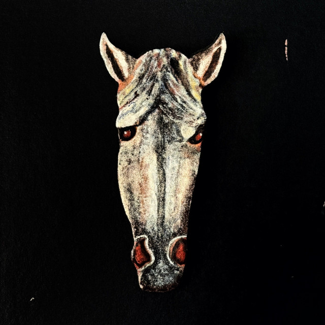 Desert Horse