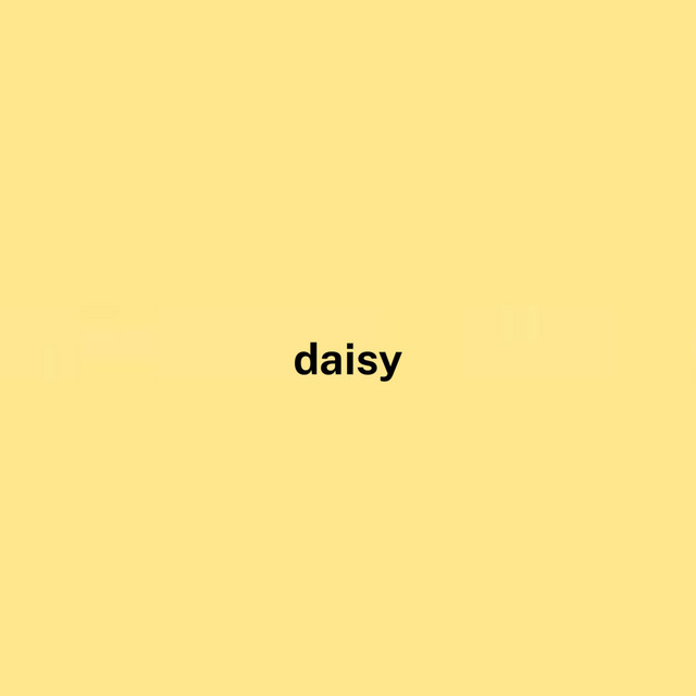 daisy