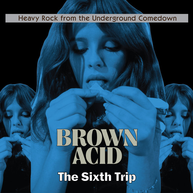 Brown Acid - The Sixth Trip cover art