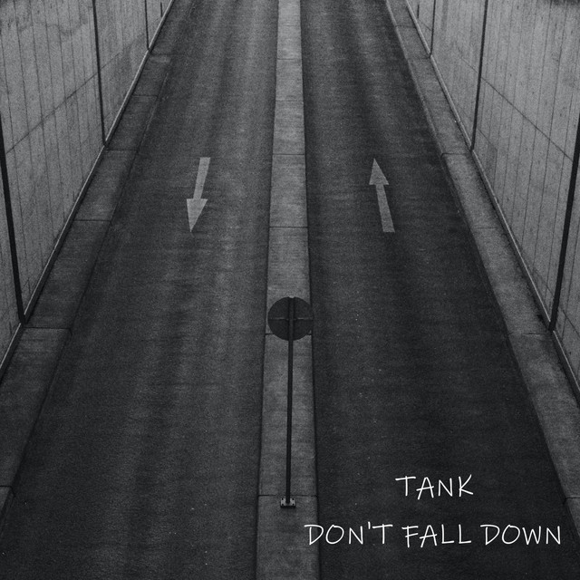 Don't Fall Down cover art