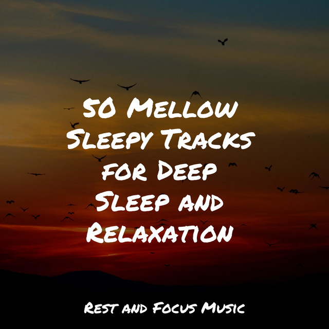 50 Mellow Sleepy Tracks for Deep Sleep and Relaxation - Album by Sleep ...