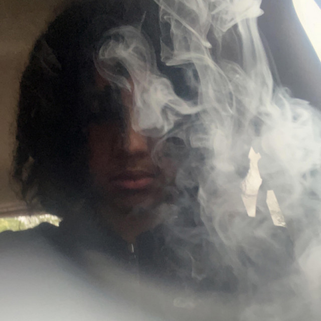 Traumatized cover art