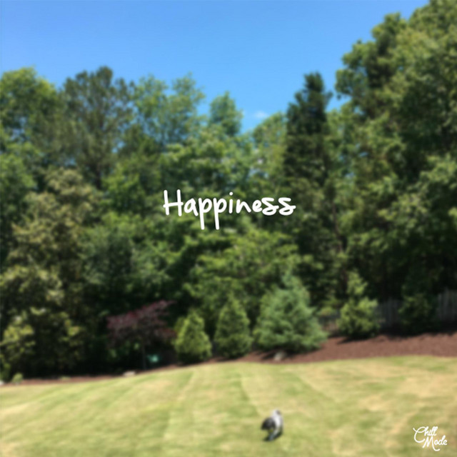 Happiness cover