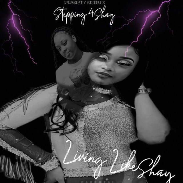 Stepping 4 Shay cover art