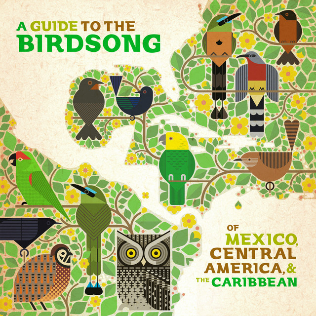 A Guide to the Birdsongs of Mexico, Central America & The Caribbean cover