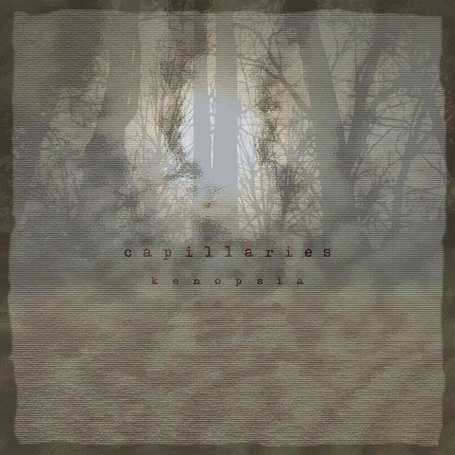 Kenopsia cover