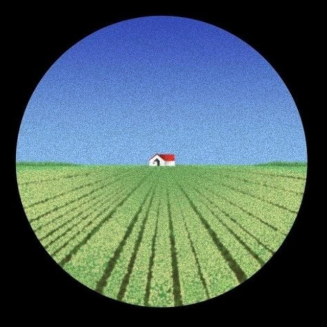 stop or continue? cover art