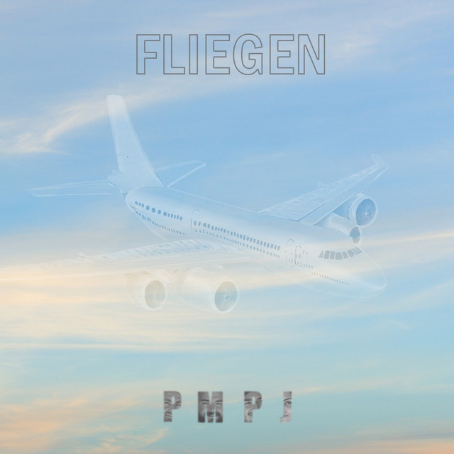 Fliegen cover