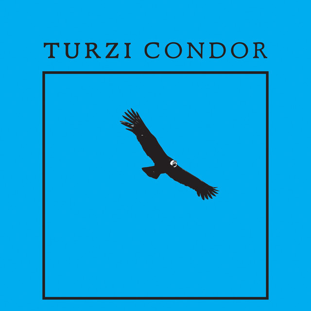 Condor - Walter Remix cover art
