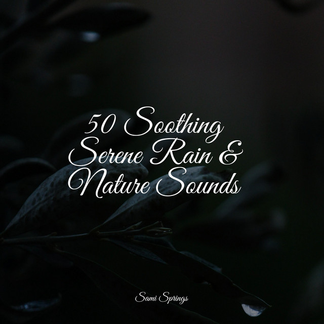 50 Soothing Serene Rain & Nature Sounds - Album by Deep Sleep Systems ...