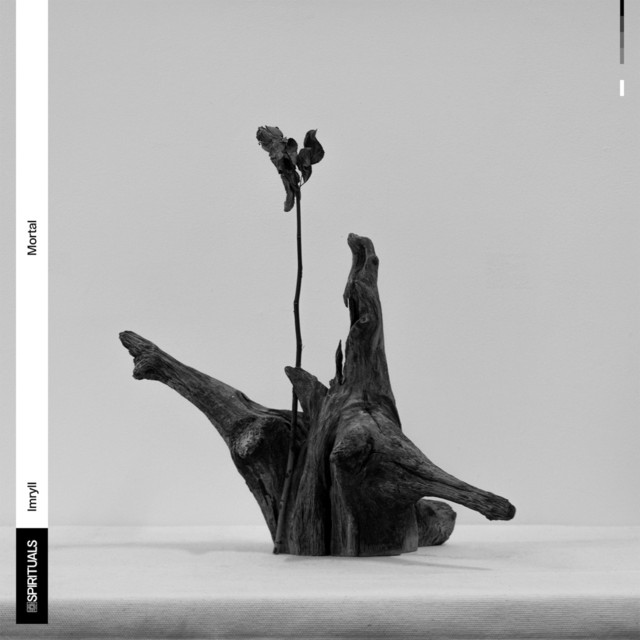 Mortal cover art