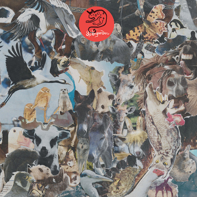 Snöleoparden cover art