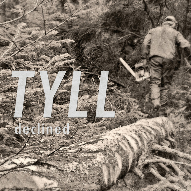 Tyll cover art