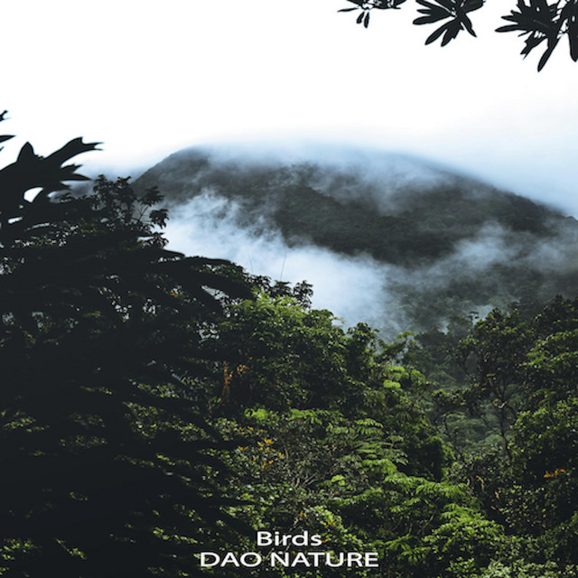 Summer Birds cover art