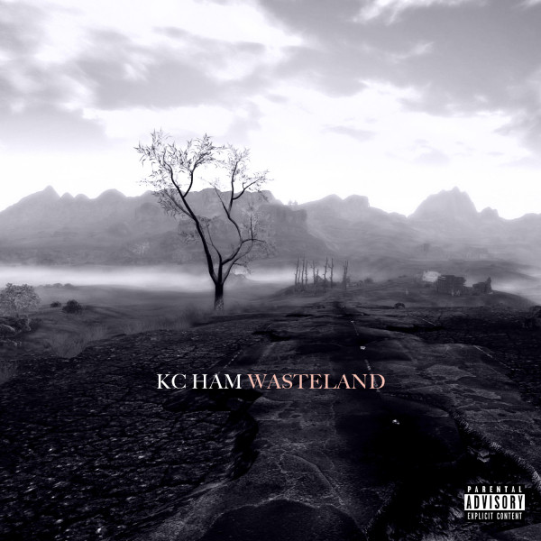 Wasteland cover art