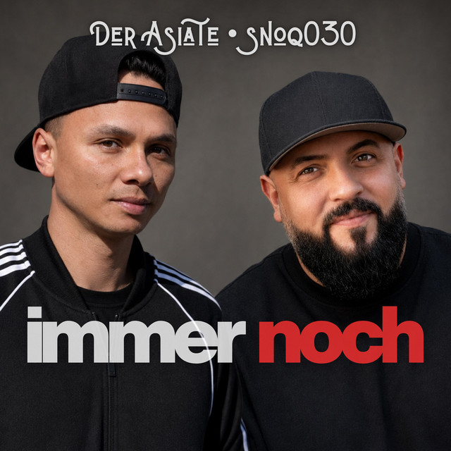 Immer noch cover