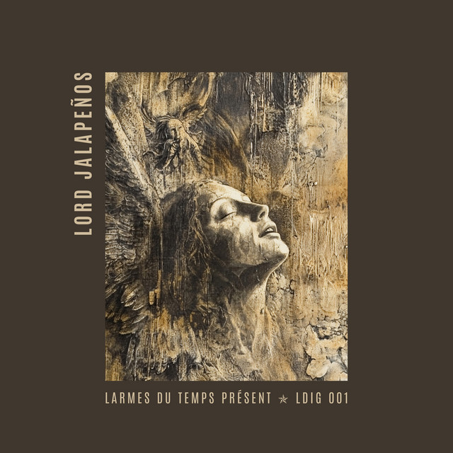 V2.5 album art