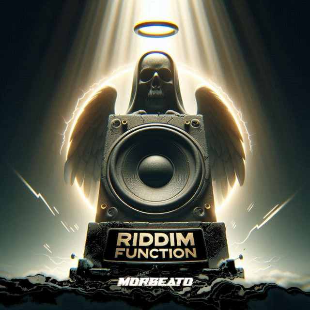 Riddim Function cover art