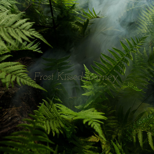 Frost Kissed Journey cover art