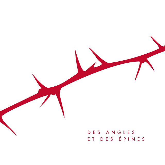 Des angles et des épines cover art