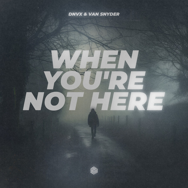Обкладинка: When You're Not Here — DNVX