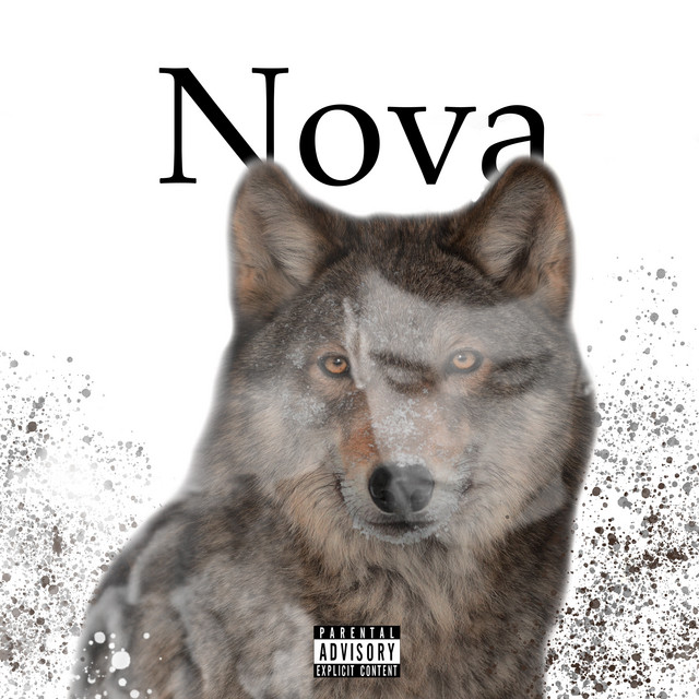 Nova - Single by 9ova | Spotify