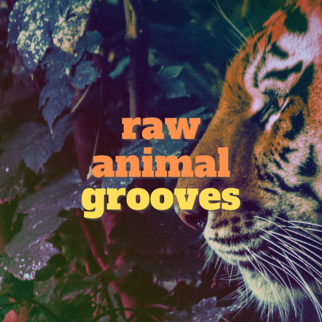 Raw Animal Photo