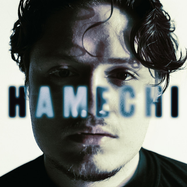 HAMECHI - Single by poobon | Spotify