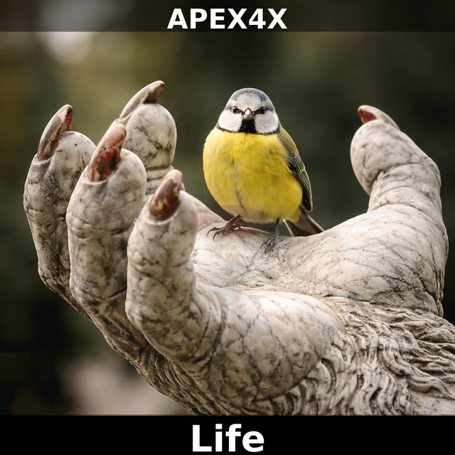 Apex4X – Life - Acoustic