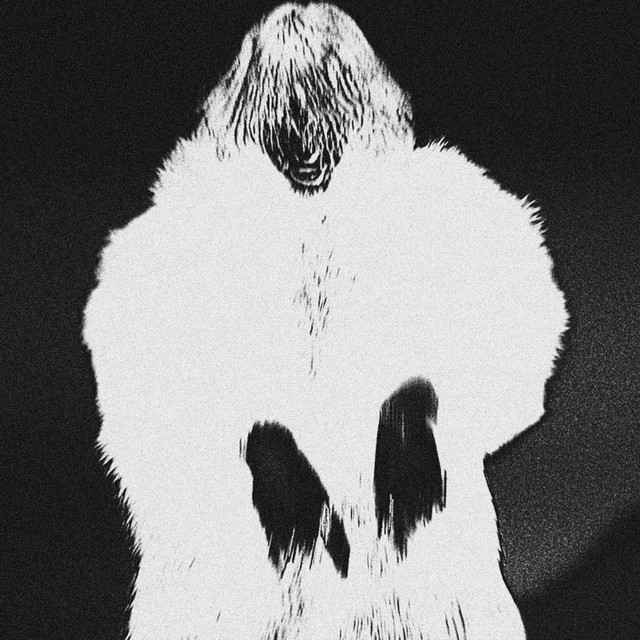 1312 cover art