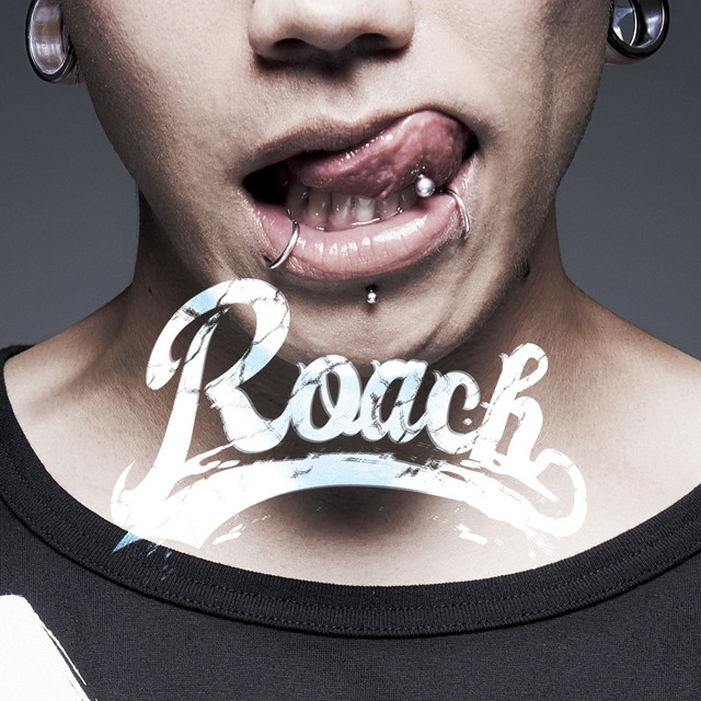 Roach cover