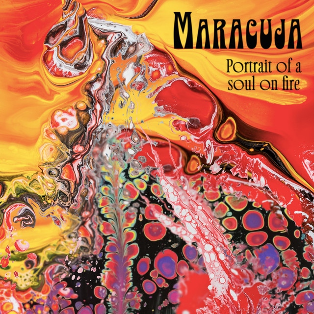 Portrait of a Soul on Fire cover art