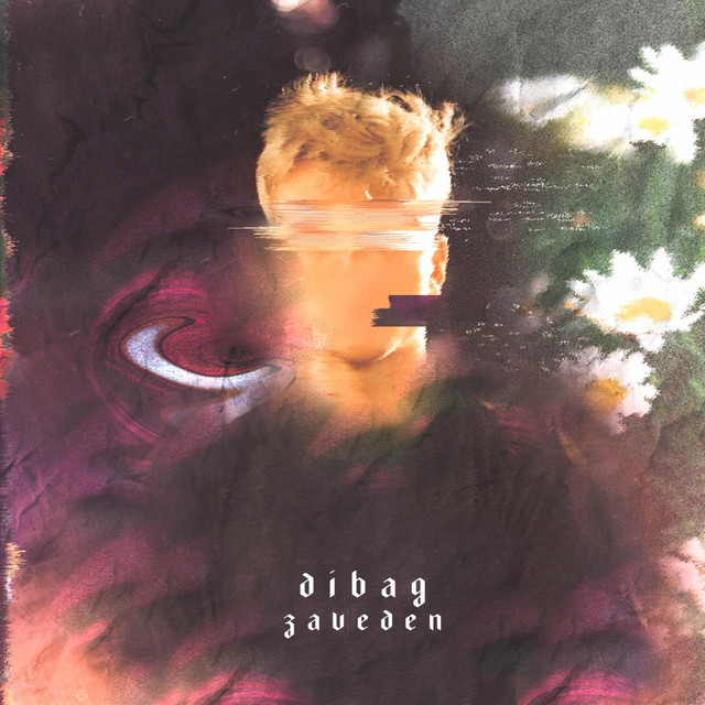Zaveden cover art