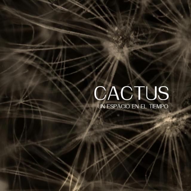 Cactus