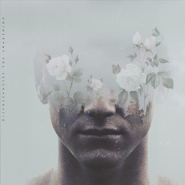 The Awakening cover art