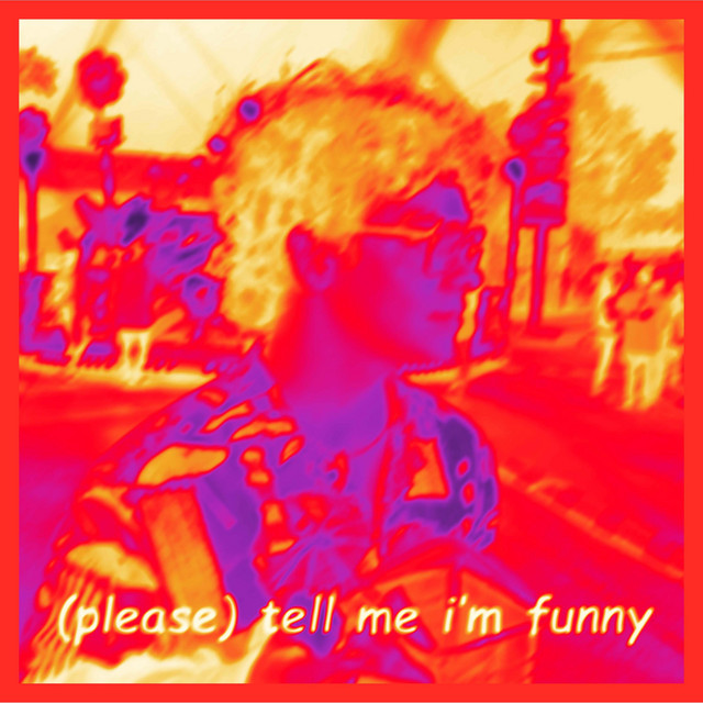 please tell me i'm funny cover art