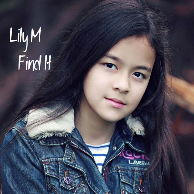 Find It cover