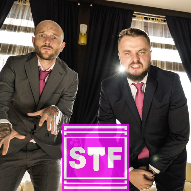Stf cover art