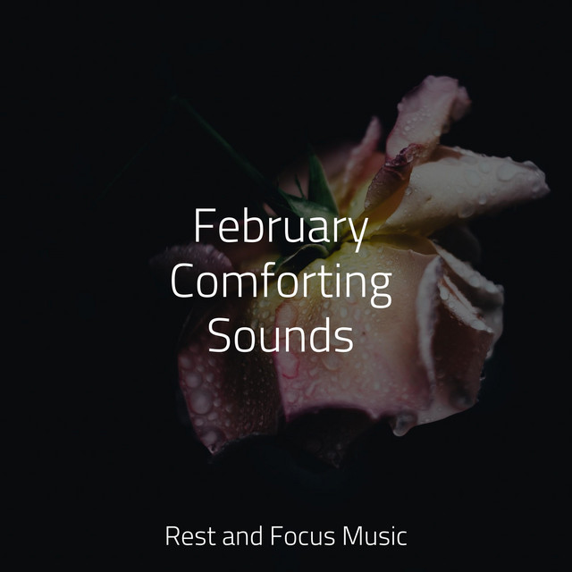 February Comforting Sounds - Album by Música para Relaxar Maestro | Spotify