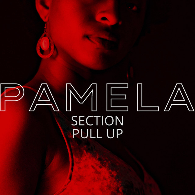 Pamela cover art
