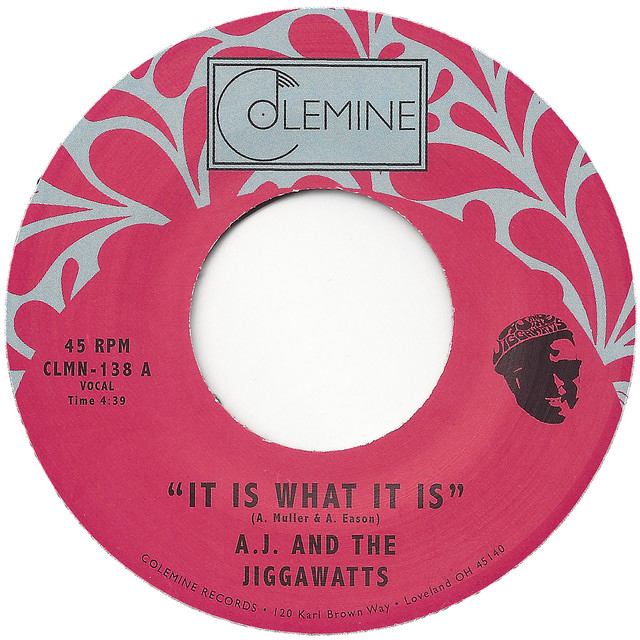 AJ & The Jiggawatts Photo