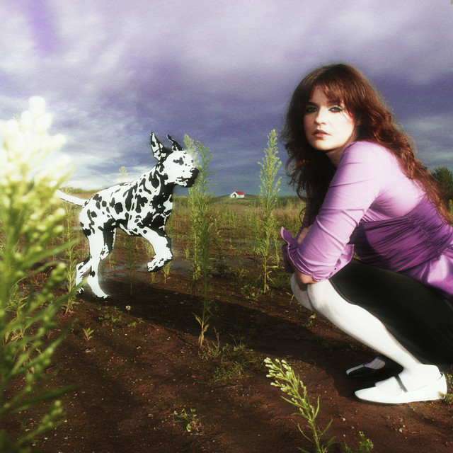 BUS LENGVA cover art