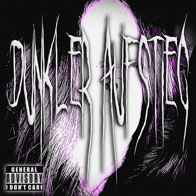 Обкладинка треку DUNKLER AUFSTIEG