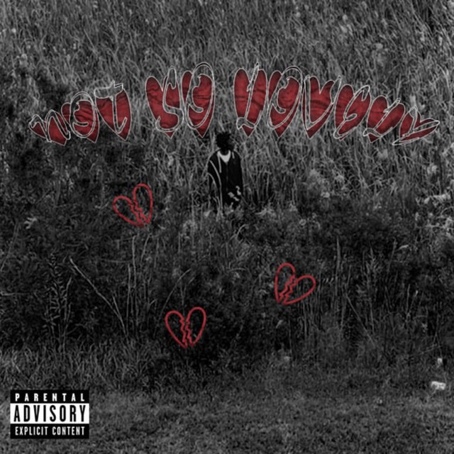 not so lovely cover art