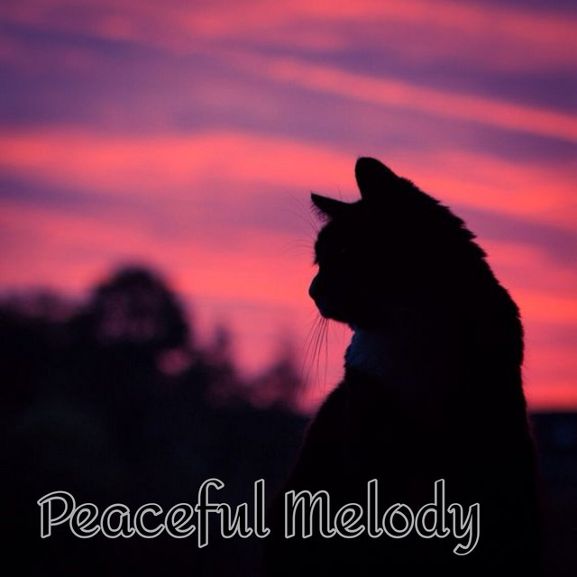 Peaceful Melody cover art