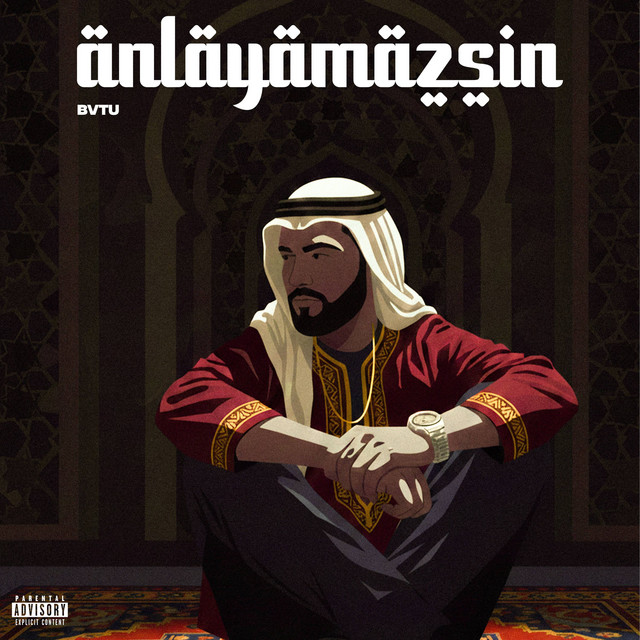 Anlayamazsın