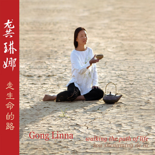 走生命的路 cover art